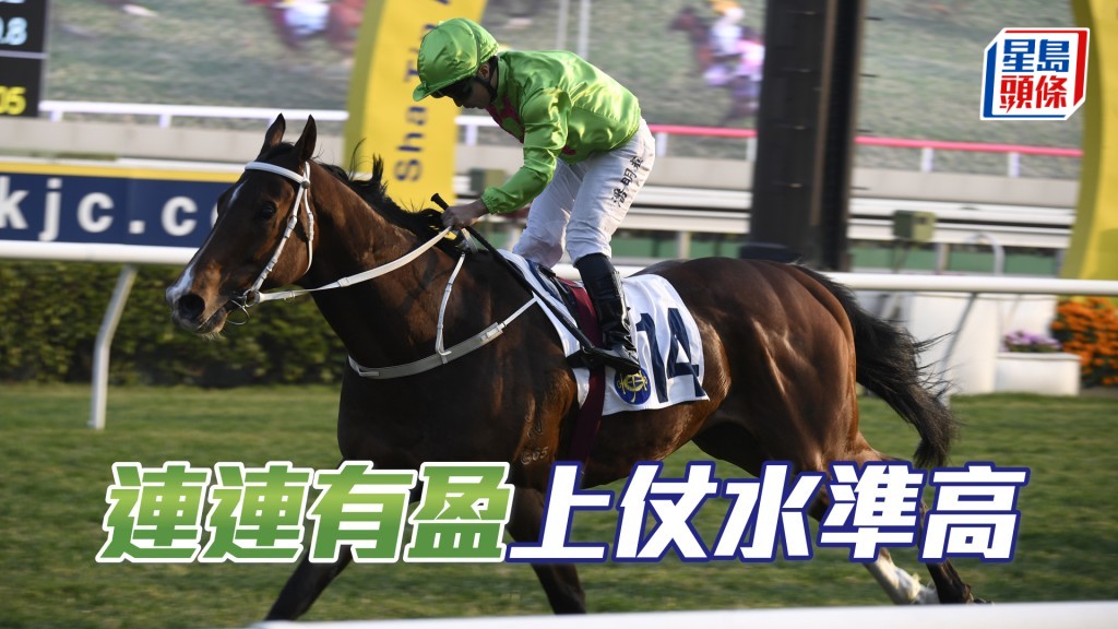 「連連有盈」上場僅負於超班馬「跨境寶馬」，一席亞軍有水準。